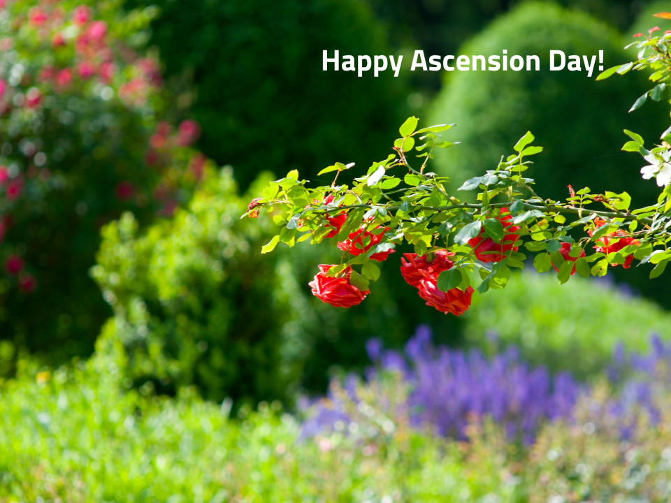 May 9 - Ascension Day
