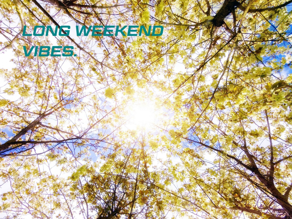 Celebrating Whitsun and Spring Bank Holidays